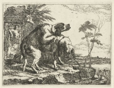 Two Mating Dogs by Joannes Fijt