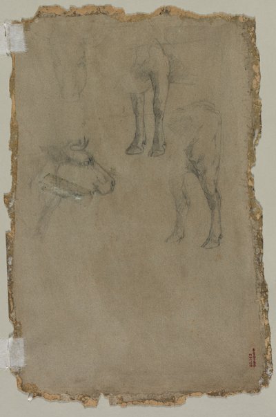 Studies of a Bull by Johan Barthold Jongkind