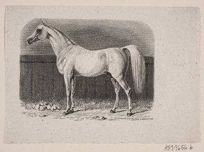 A Horse by Johan Frederik Rosenstand