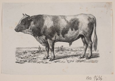 A Bull by Johan Frederik Rosenstand