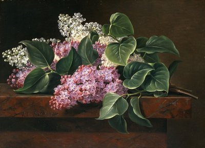 Lilac on a Ledge by Johan Laurents Jensen