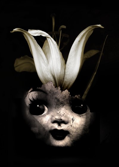 Doll flower by Johan Lilja