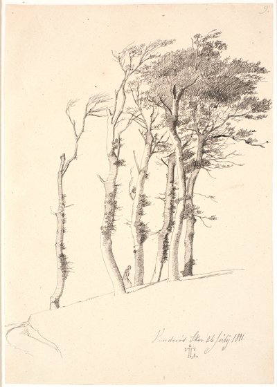 Group of Windblown Trees by Johan Thomas Lundbye