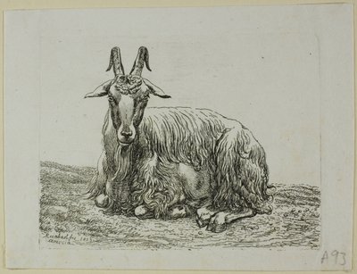 Lying Goat, from The Second Animal Series by Johann Christian Reinhart