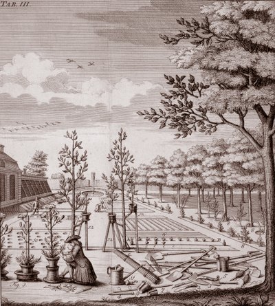 Illustration of a Garden Scene, 1753 by Johann Hermann Knoop
