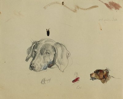 Study of a Dog by Johann Peter Krafft