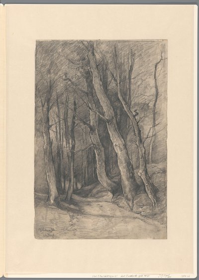 Forest Landscape near Delden by Johannes Gijsbert Vogel