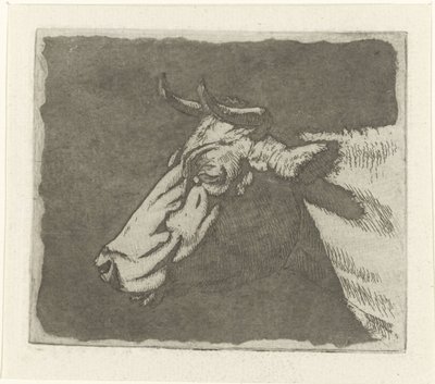 Cow Head by Johannes Janson