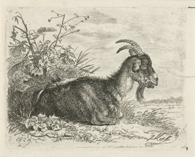 Lying Goat by Johannes Mock