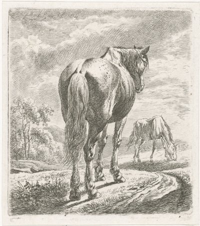Horse Seen from Behind by Johannes Mock