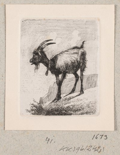 A Goat with a Bell by Johannes Wilhelm Zillen