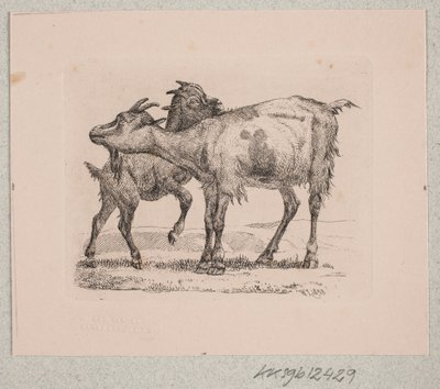 A goat with its kid by Johannes Wilhelm Zillen