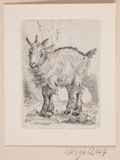 A Kid Goat by Johannes Wilhelm Zillen