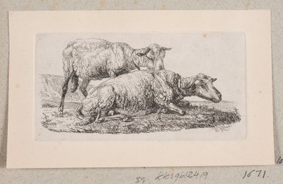 Two Sheep by Johannes Wilhelm Zillen
