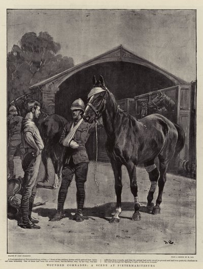 Wounded Comrades, A Scene at Pietermaritzburg by John Charlton