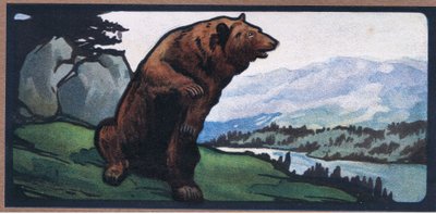 Brown Bear by John Edwin Noble