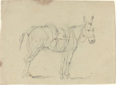 Donkey Stretching a Hind Leg by John Flaxman