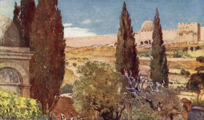 The Cypresses of the Garden of Gethsemane by John Fulleylove