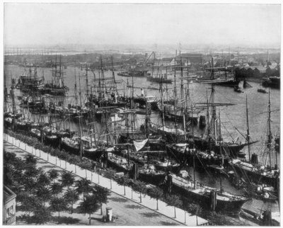 Hamburg harbour, Germany, late 19th century by John L. Stoddard