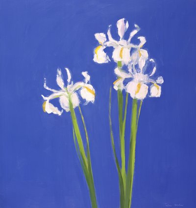 Dutch White Exelsior, 2000 by John Miller