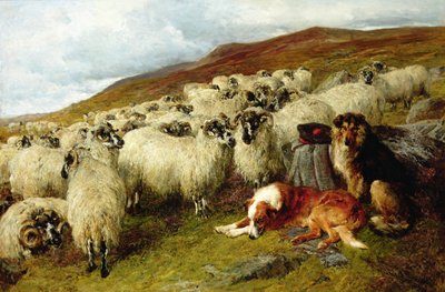Weary but Watchful by John Sargent Noble