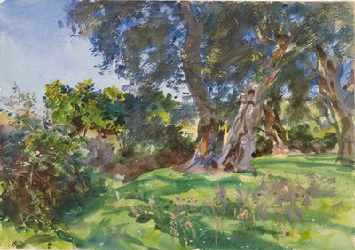 Olive Trees, Corfu by John Singer Sargent