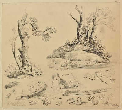Sheet of Studies of Tree-trunks and Foliage by John Varley