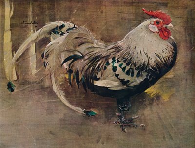 The Spangled Cock by Joseph Crawhall