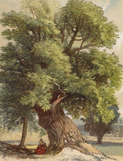 Old Chestnut by Joseph Needham