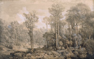 Australian Forest by Joseph Selleny