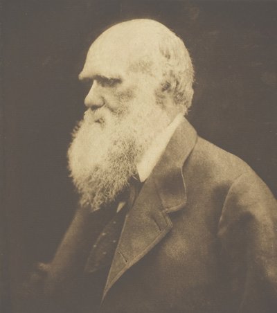 Charles Darwin by Julia Margaret Cameron