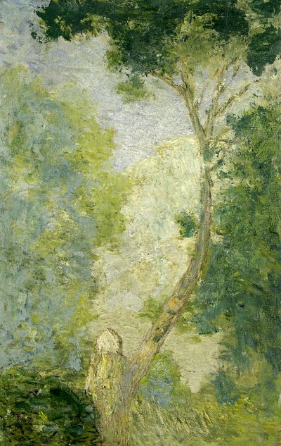 Landscape, after 1900 by Julian Alden Weir