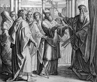 The Rod of Aaron by Julius Schnorr von Carolsfeld