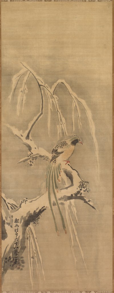 Chinese Bird on Snow-Laden Branch by Kanō Tan’yū