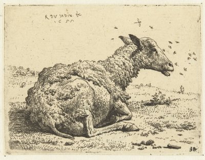 Lying Sheep with Flies by Karel Du Jardin