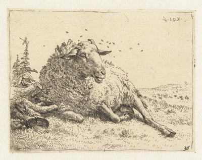Sheep by a Tree Trunk by Karel Du Jardin