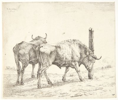 The Two Oxen by Karel Du Jardin