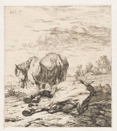 Two Horses by Karel Du Jardin