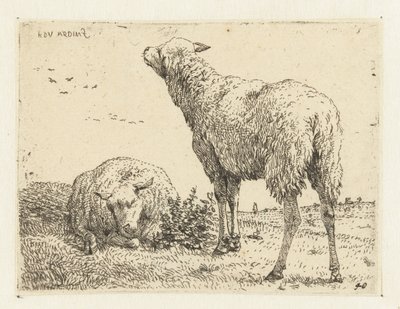 Two Sheep by Karel Du Jardin