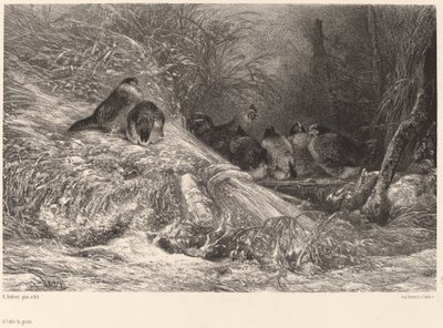 Sheltered from the Frost by Karl Bodmer