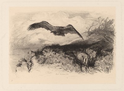 Eagle in Flight by Karl Bodmer