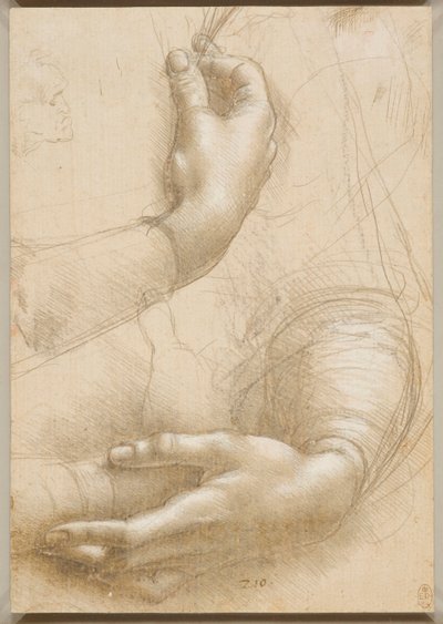 Arms and Female Hands by Leonardo da Vinci