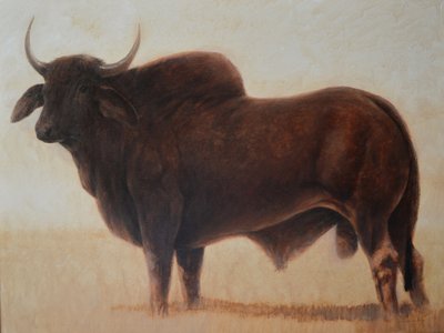 Brahmin Bull by Lincoln Seligman