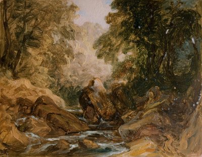 Mountain Stream and Rocks, 19th century by Lines Family