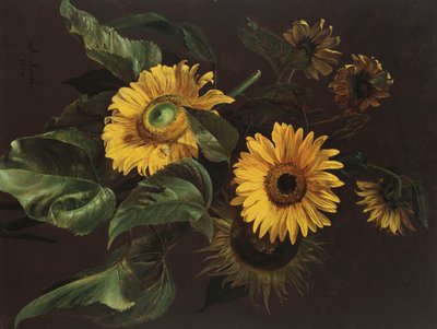 Sunflowers by Louis Apollinaire Sicard