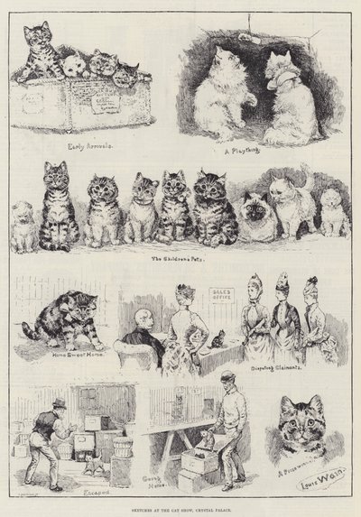 Sketches at the Cat Show, Crystal Palace by Louis Wain