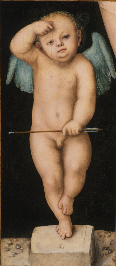 Cupid by Lucas Cranach the Elder