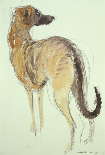 Lurcher Standing by Lucy Willis