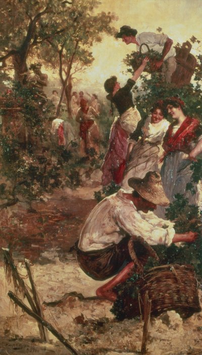 The Grape Harvest by M.F. Moles