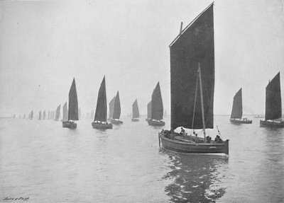 Herring Boats Off the Tyne by M. Aunty